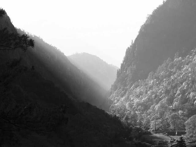 Імітація товару 1122334455 (New Holland)